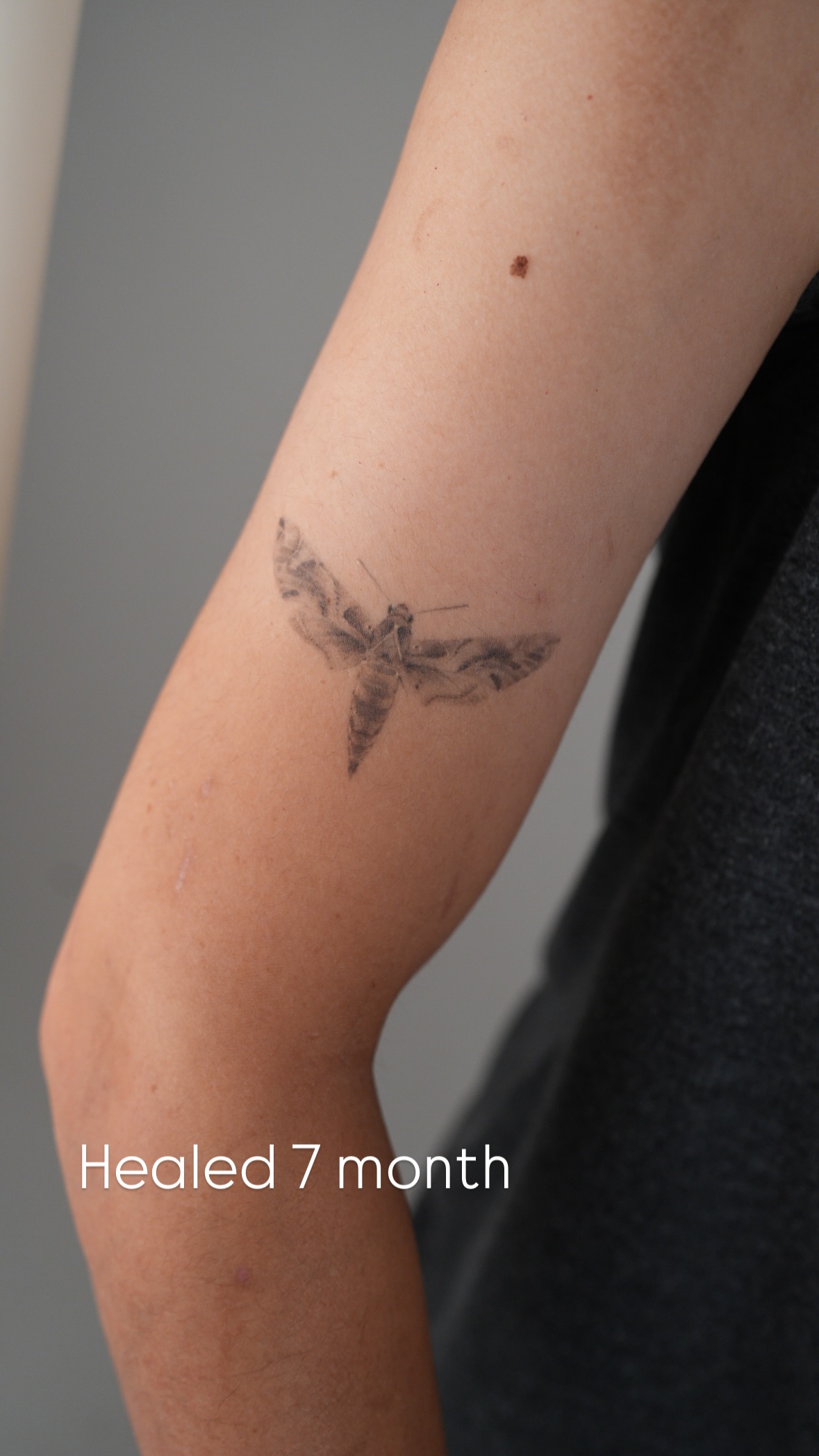 Moth microrealism tattoo